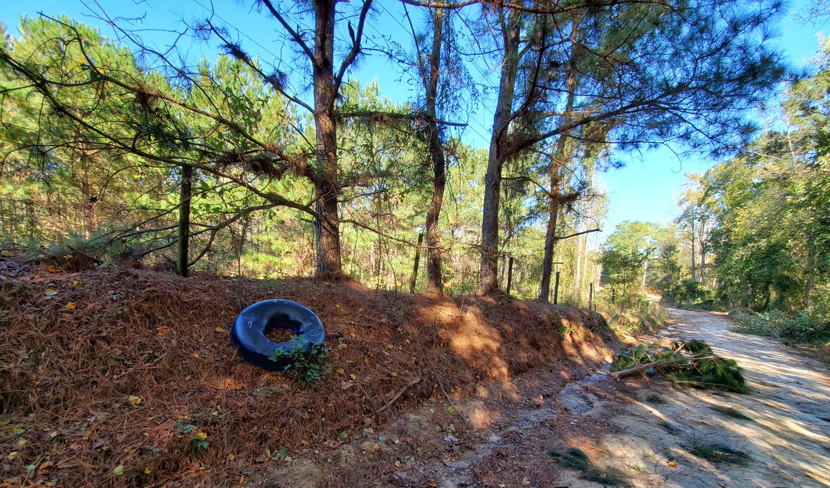 CordWx's tweet photo. The things you find on a #storm #survey #pool #intertubes from #where? And the occasional #primate in a tree @LexingtonCounty . Near the initial #touchdown of an #EF1 tornado just northeast of #Gilbert @Discover_SC @NWSColumbia @wachfox @darryljonesccfc https://t.co/Gu9PtQTcZC