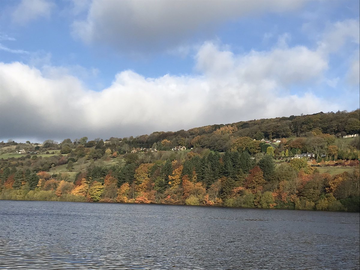 KarenHo01208036's tweet photo. Lovely walk this morning with great Autumnal colours #Morehall https://t.co/L99LruFrCi