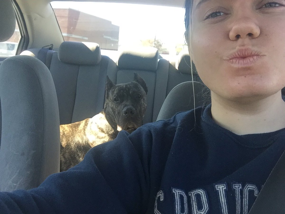 Slwood14's tweet photo. I love being a puppy mom 😍 #finallyhaveapuppy https://t.co/EnxZRAIAwj