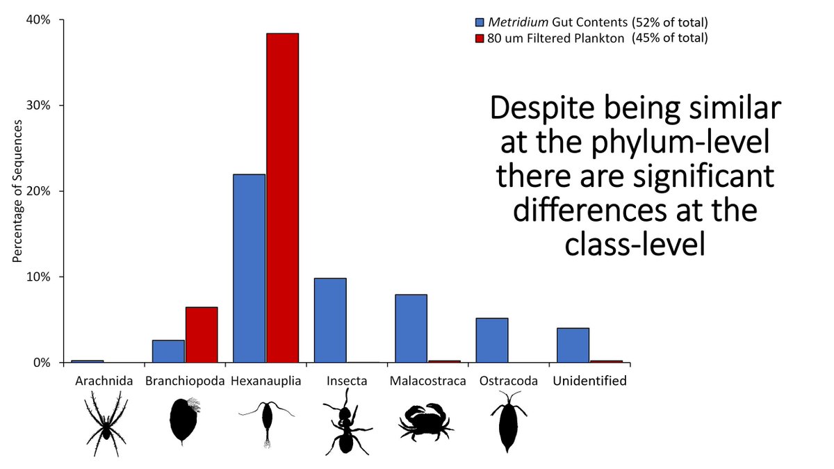 If we break up the Arthropoda group and look at subgroups, the differences between the plankton and the anemones becomes more apparent. Blue bars: anemone diets; red bars: plankton. There are some large differences you can see here (including 9% of the diet being insects)!14/n