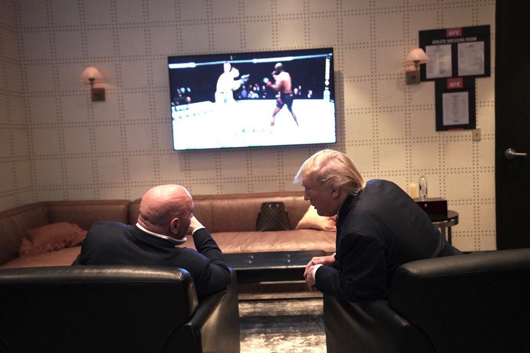 danawhite tweet media