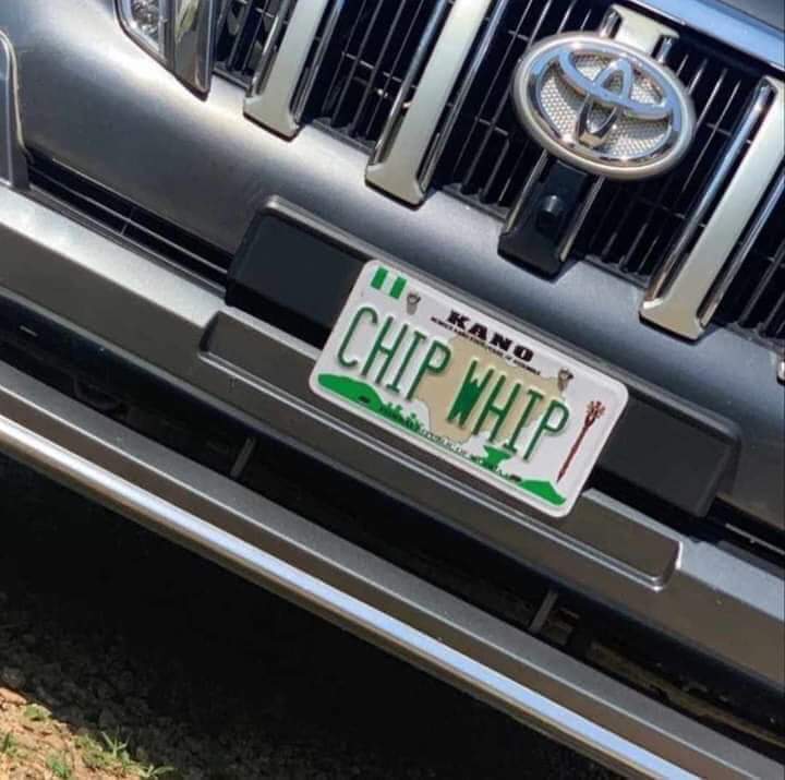 IntegritySolut5's tweet photo. Which one again is CHIP WHIP???? https://t.co/xJj8RCiw2R
