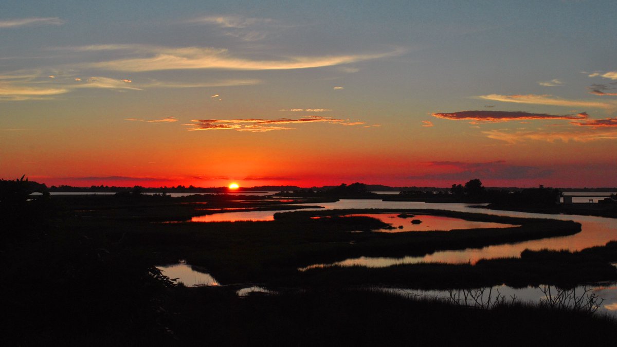 Procino-Wells & Woodland, LLC tweet media