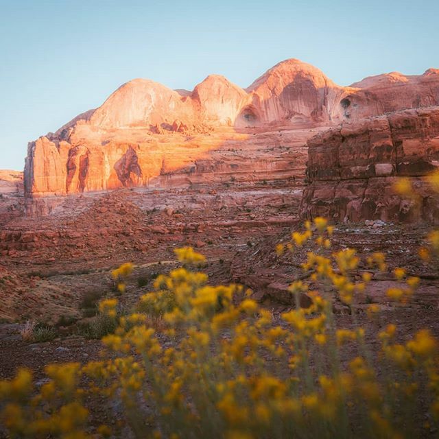 kruttles's tweet photo. Early mornings in Moab, UT😍 I will forever be in love with the beauty and serenity of the desert. 🏜
.
.
.
.
#utah #utahrocks #utahphotography #canyonlands #moab #landscape_lover #world_bestnature #southwestrocks #wherewillwegonext #postcardsfromtheworld #passportready #aroun… https://t.co/xrxC7cYfKX