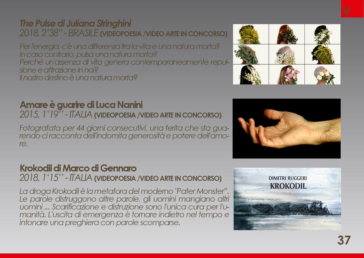 Versi di Luce tweet media