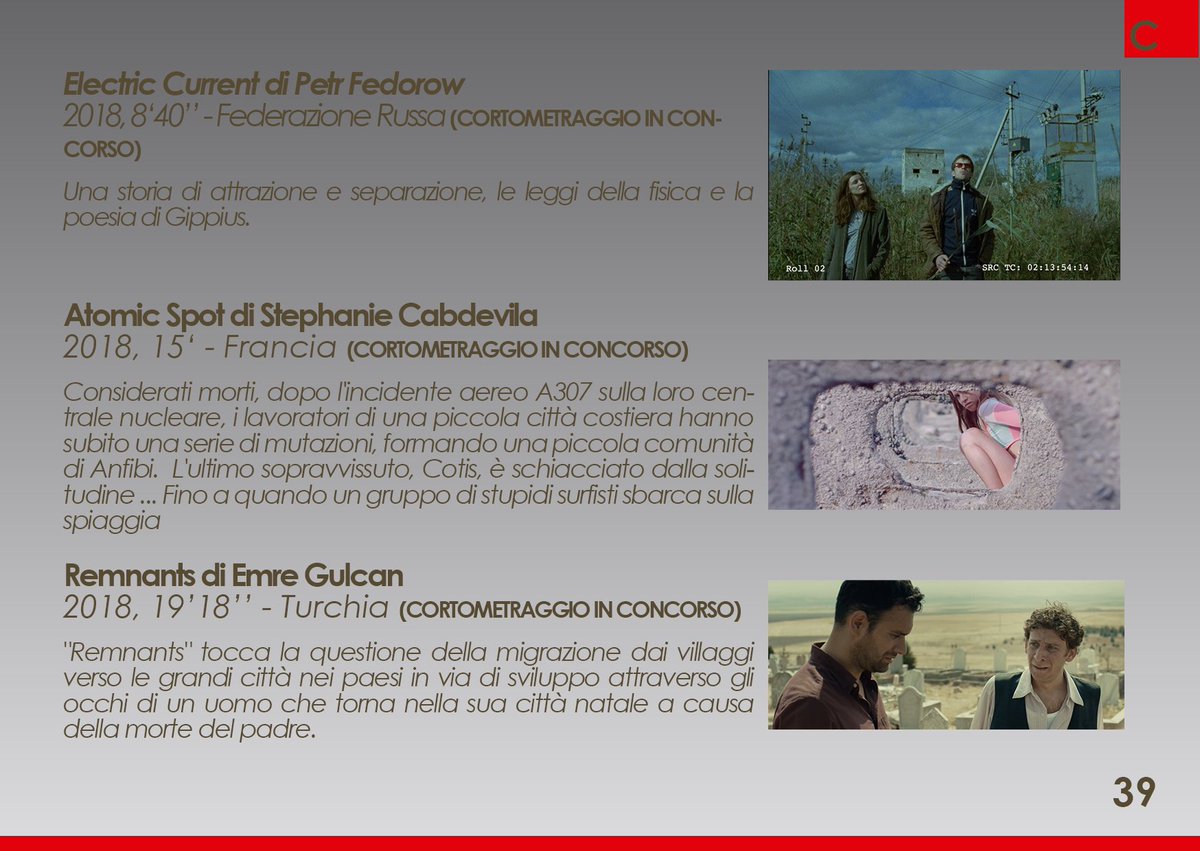 Versi di Luce tweet media