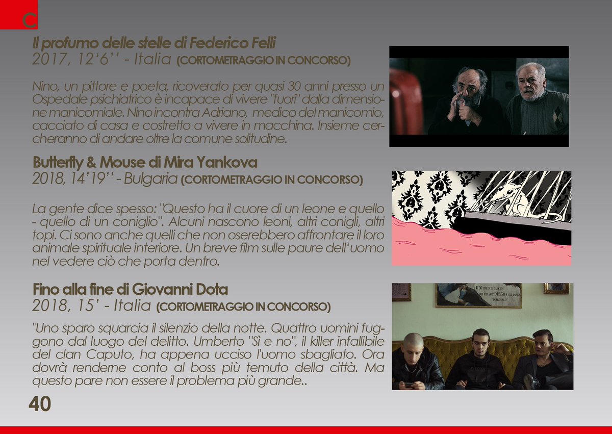 Versi di Luce tweet media