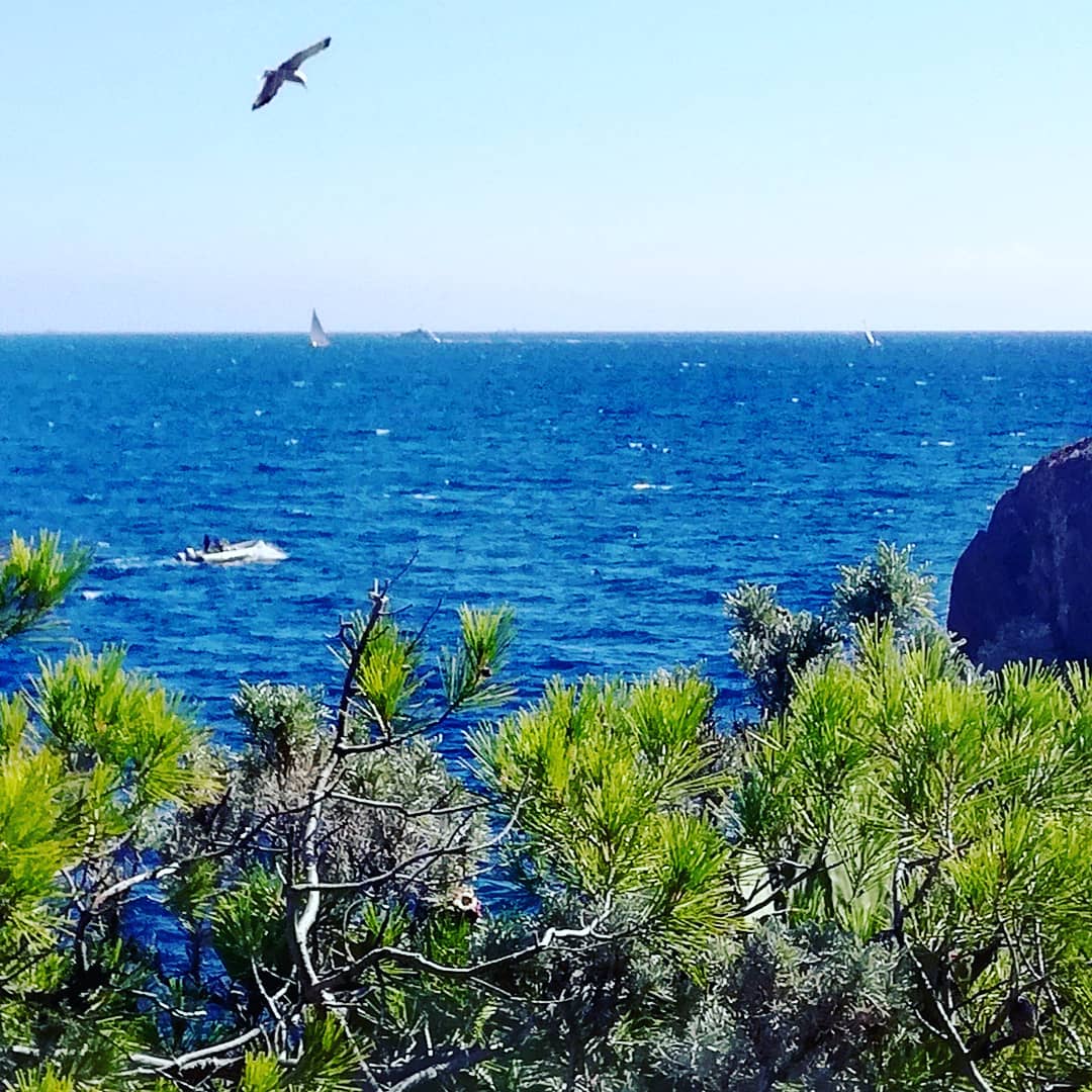 Je ne me lasserai jamais de vivre ici 💙🌊💙
Bonne soirée
.
#agay #antheor #estérel #esterelcotedazur #visitesterel #CotedAzurFrance #frenchriviera #caproux #capdramont #Paradise #sea #calanques #lovevar