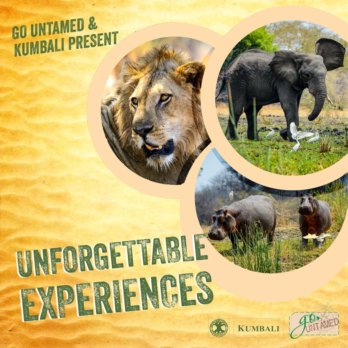 🇲🇼 We’ve teamed up with Go Untamed to offer you a range of tailored travel experiences 🌍 Combine luxury accommodation and wild camping, explore Lake Malawi, get up close to big game, and take in Malawi’s rich cultures with packages designed just for you 🦁 2020 bookings now open