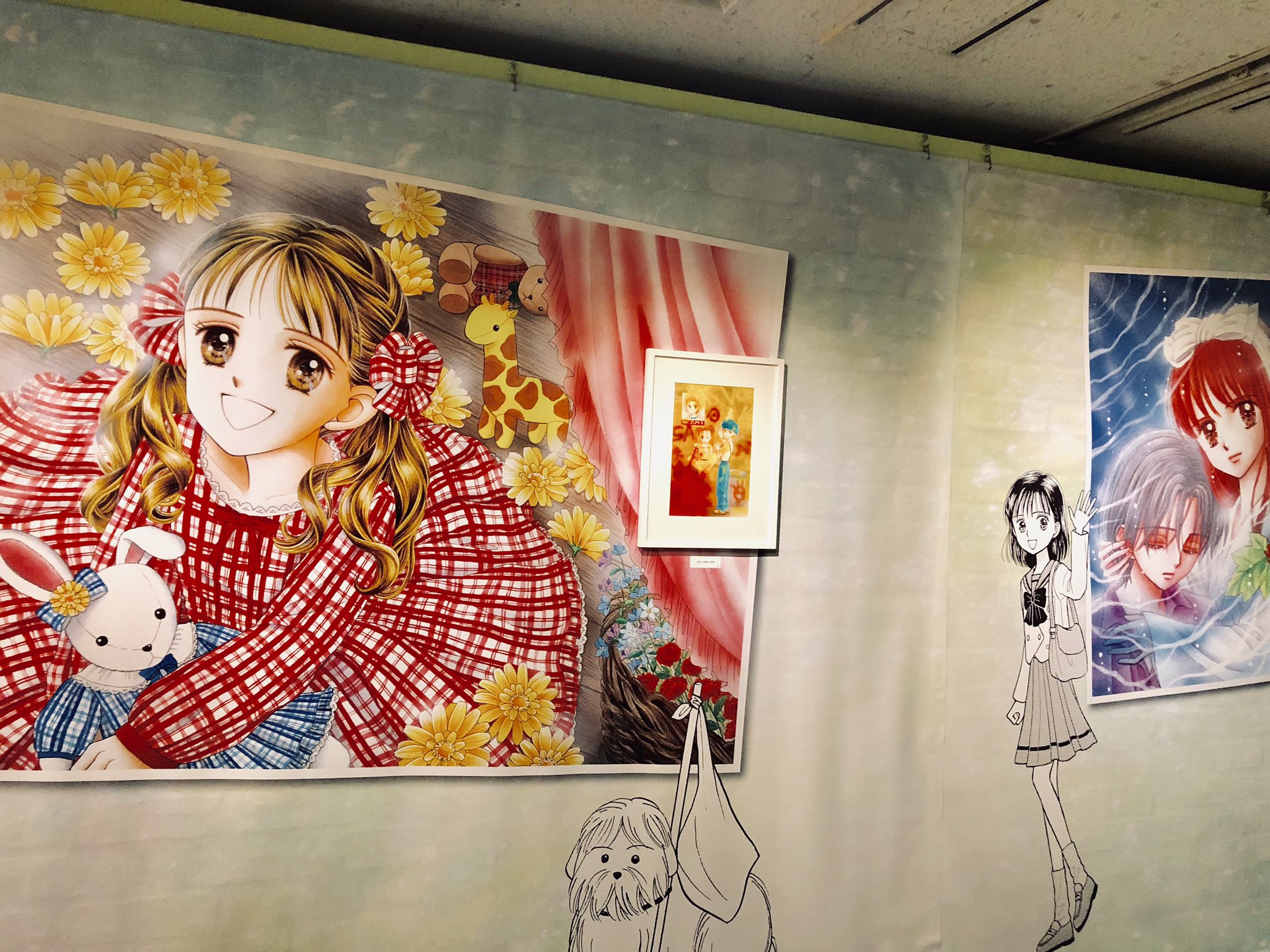 ゆきんこ💡 on X: 