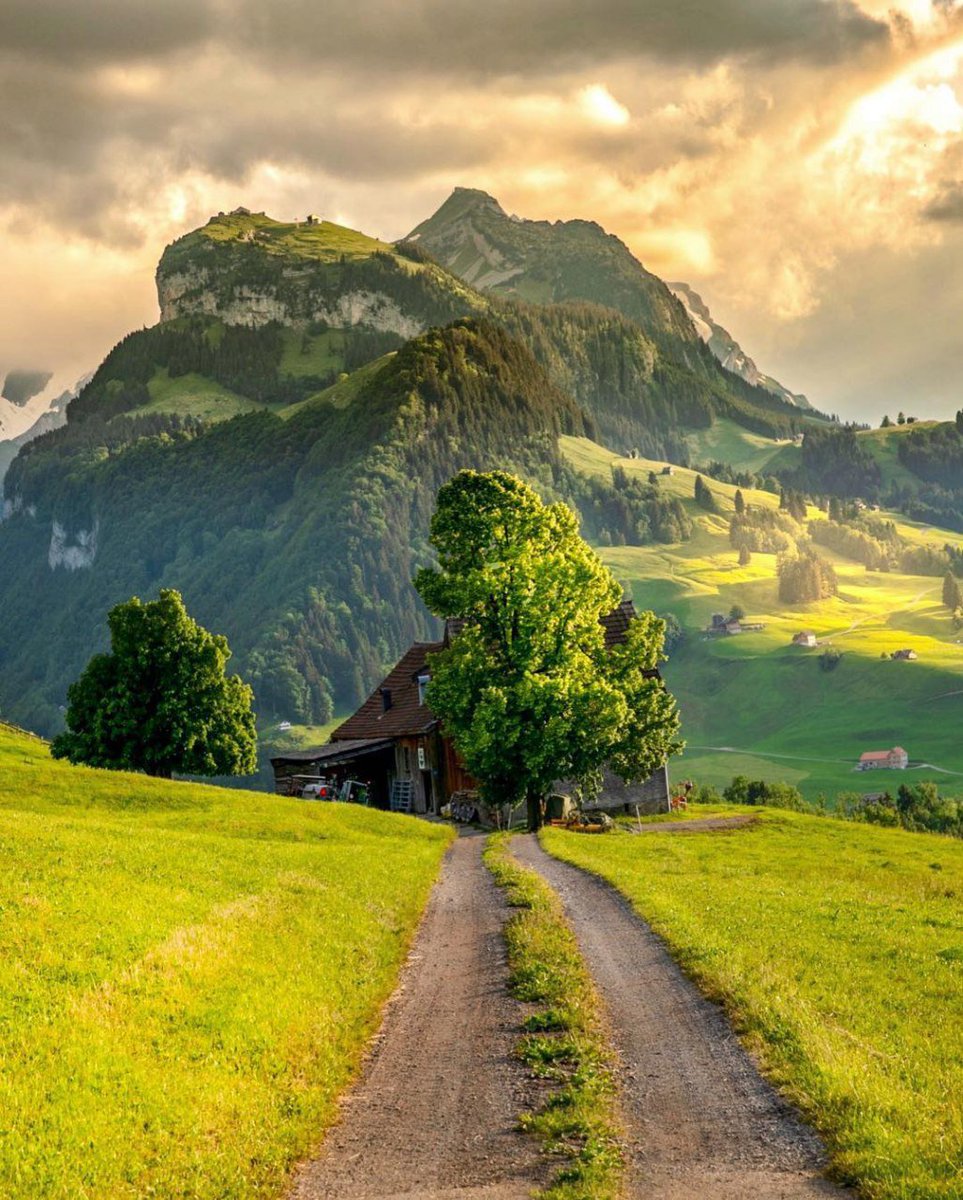 #Amazing #nature