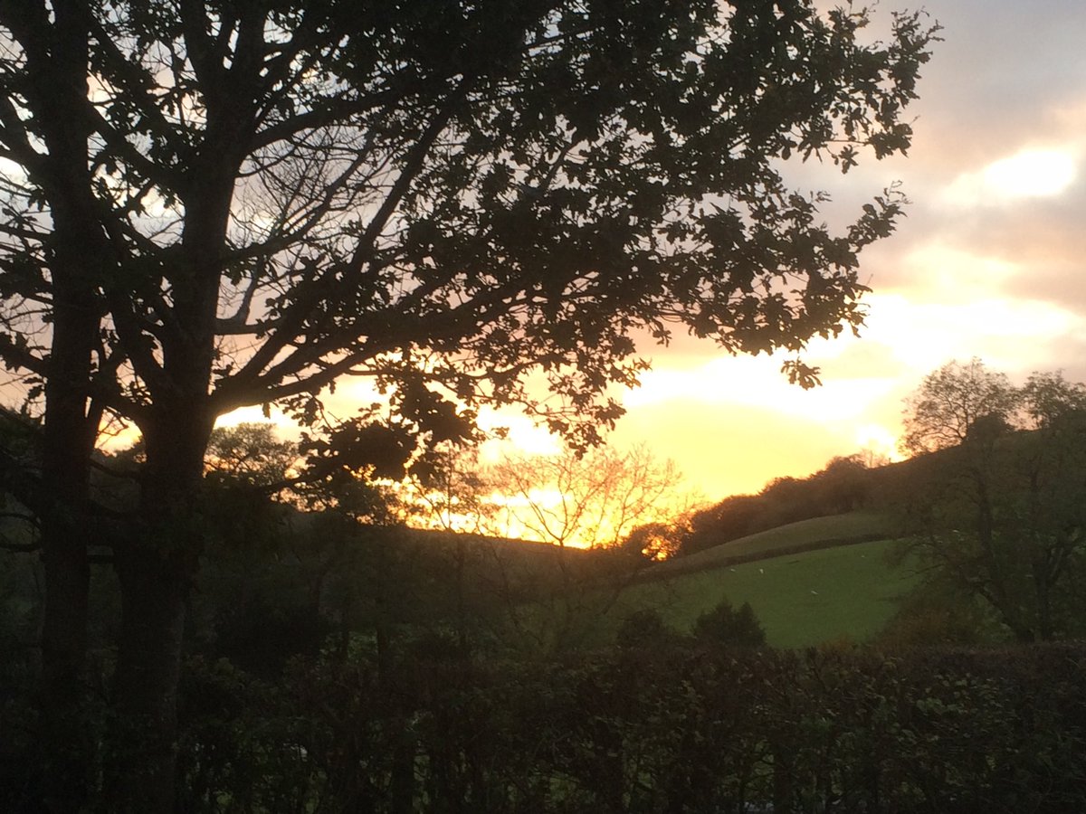 FiWilliams's tweet image. Nearly 5 o’ clock shadows! ⁦@ShropHillsAONB⁩