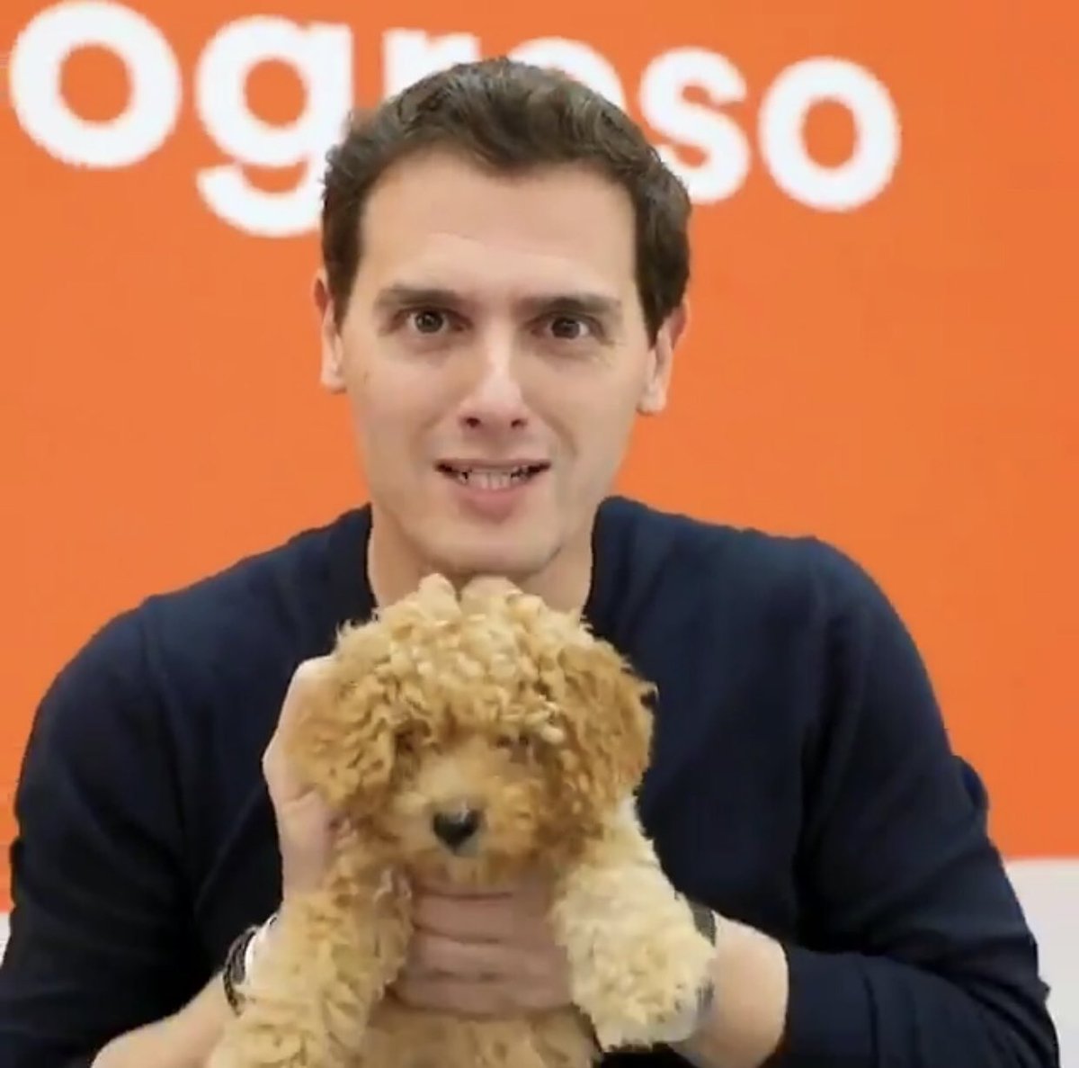 eljueves's tweet photo. Huele a caca. A caca de humano después de haber visto las encuestas. https://t.co/RgZitTFUiU