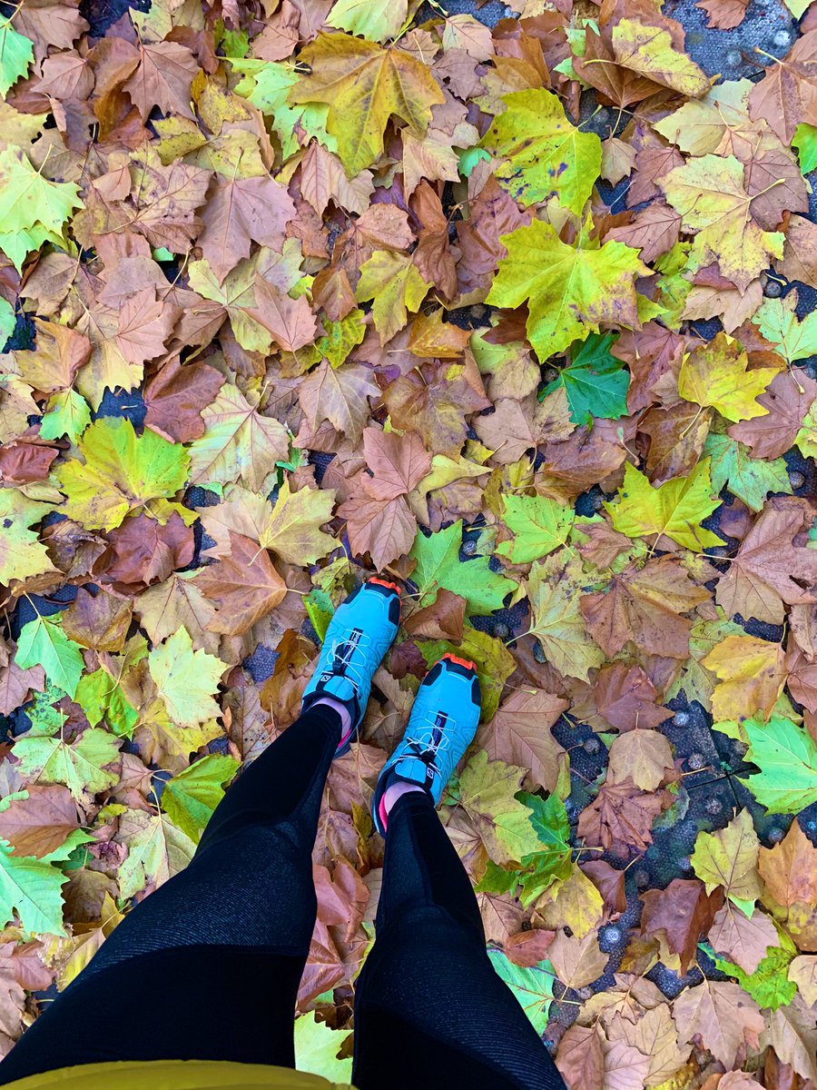 Teacher_LMc77's tweet photo. Another gorgeous Autumnal walk! Last outing of the half term! 125km in total covered this week... #lotsofsteps #healthybodyhealthymind #fitnessmatters #halfterm #bringonxmas 🥰🍂🍁☀️❄️ https://t.co/lHHfEy4xt3