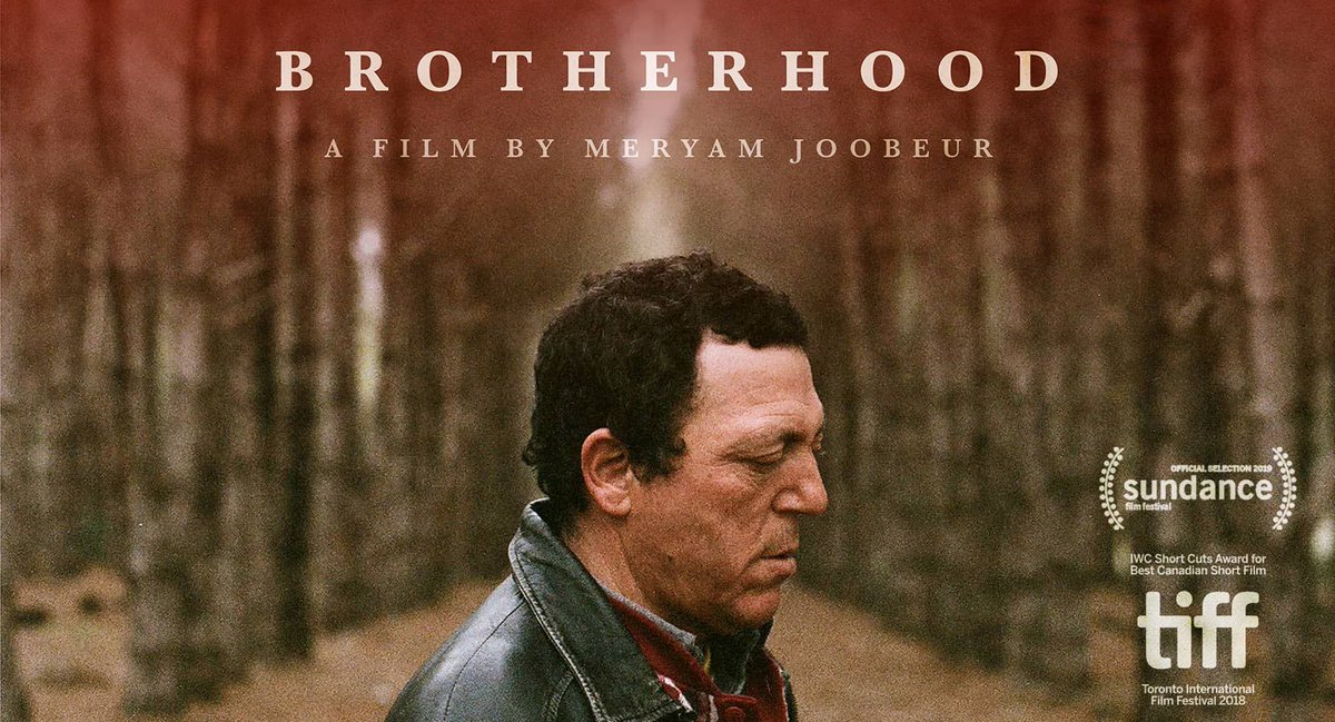 ShortoftheWeek's tweet photo. Our October coverage ended with a bucket-load of Horror, but our 'Best of the Month' picks feature no scares, but plenty of surprises - https://t.co/UblojephGN https://t.co/WvyXvls9Hl