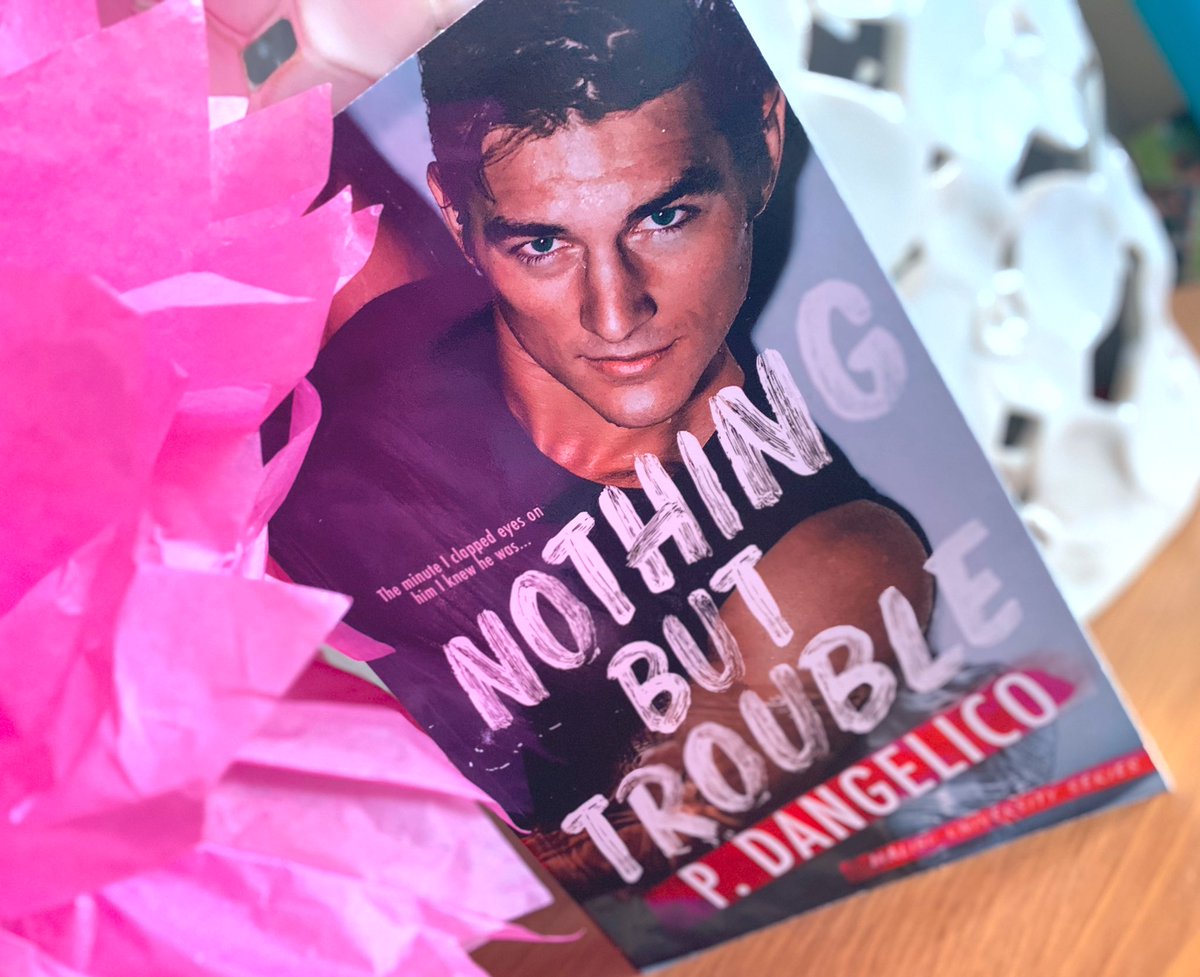 #SchmexyFavorite Nothing But Trouble by <a href="/PDanAuthor/">Paola Dangelico</a> is on #sale!!! Grab this #SlowBurn #newadultromance for only $0.99!!! 

Amazon➜ amzn.to/2HSQ9eN
Apple➜ apple.co/2GbI3v0
Kobo➜ bit.ly/2CY8yAU
B&amp;N➜ bit.ly/2SsB1J1