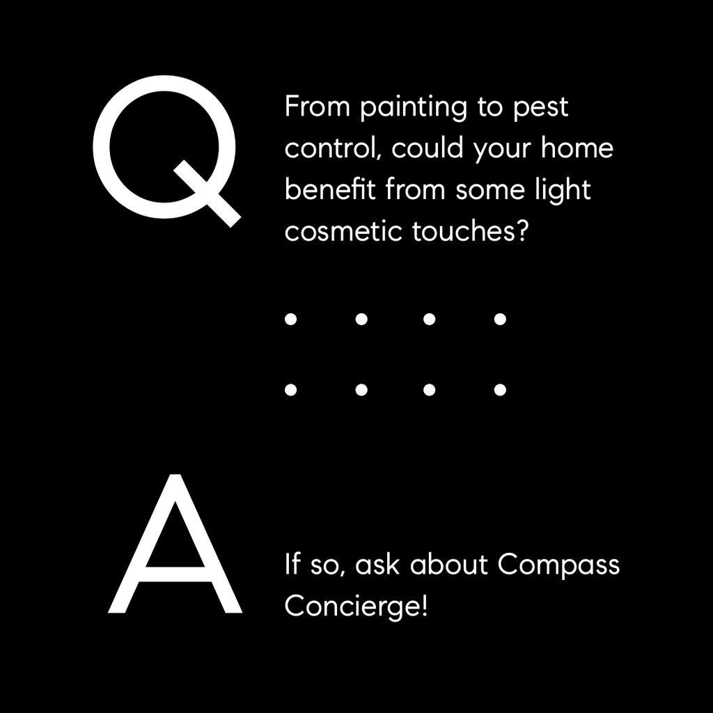 liznewell1's tweet photo. Do you know about Compass Concierge yet? Give me a call to find out more!
#austin #austintx #austintexas #austinhomes #austinrealestate #compass #compassrealestate #compassatx https://t.co/YFmTquQsk4