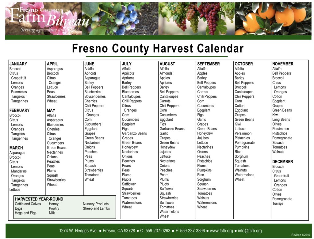 HaydenTGray's tweet image. New month = new crops harvested

Some of the Central Valley crops harvested in November  include cotton, citrus and olives. #PRDogs #CAAG