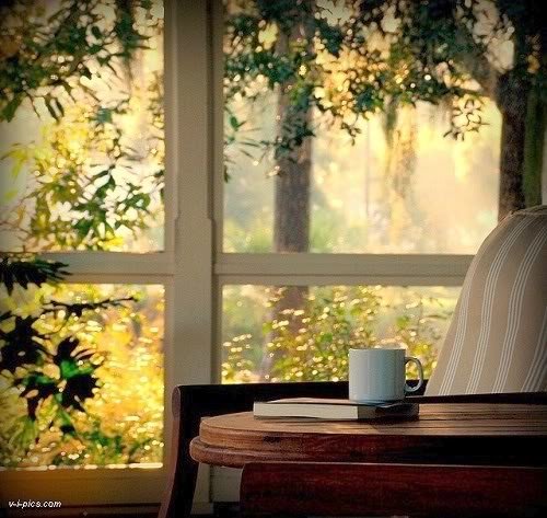 nikolv's tweet image. #November2019