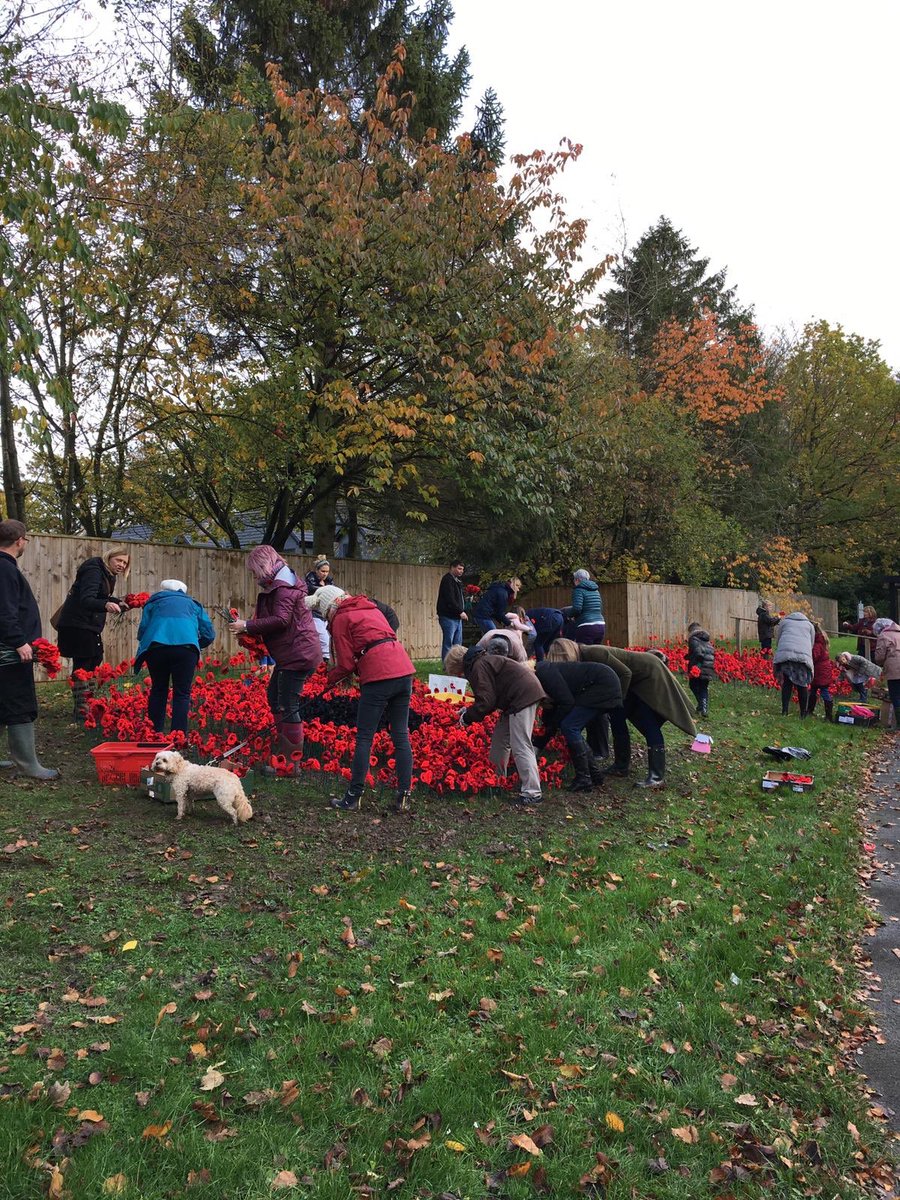 Nunthorpe and Marton Knitters tweet media