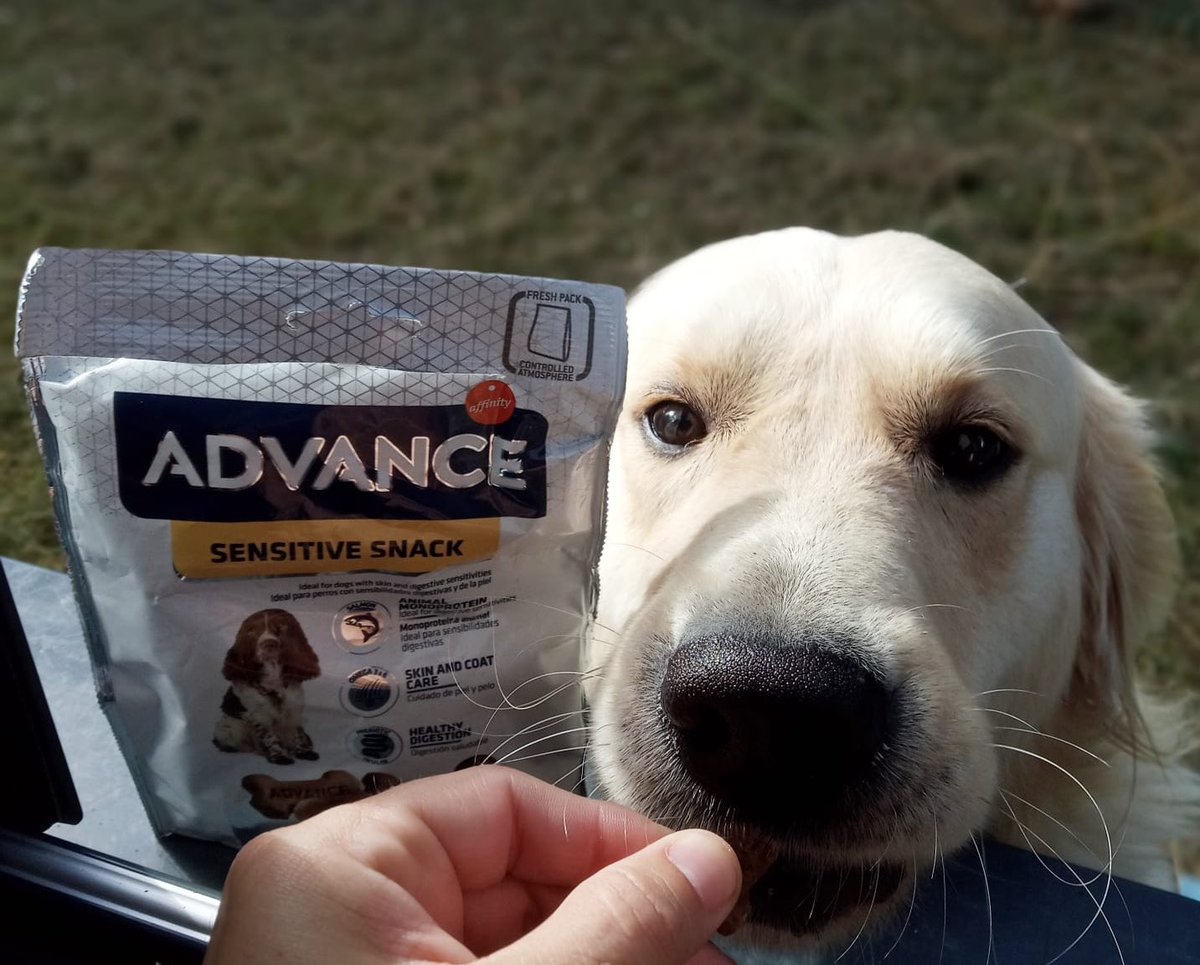 anairih2's tweet photo. Ses friandises préférées ! @trnd_fr #Advance #AdvanceSensitive https://t.co/300vLDl3qx