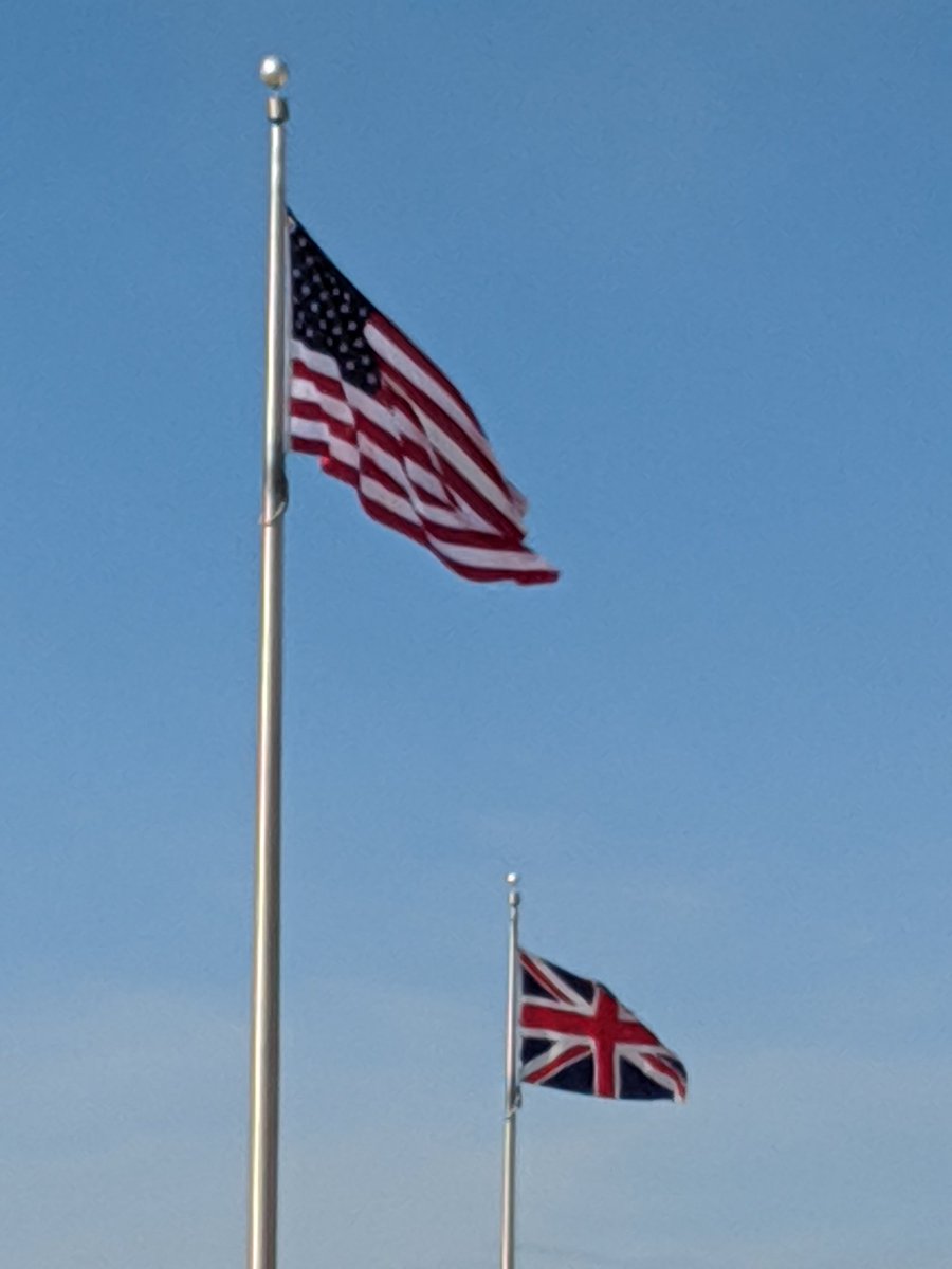 Kenneth Field tweet media