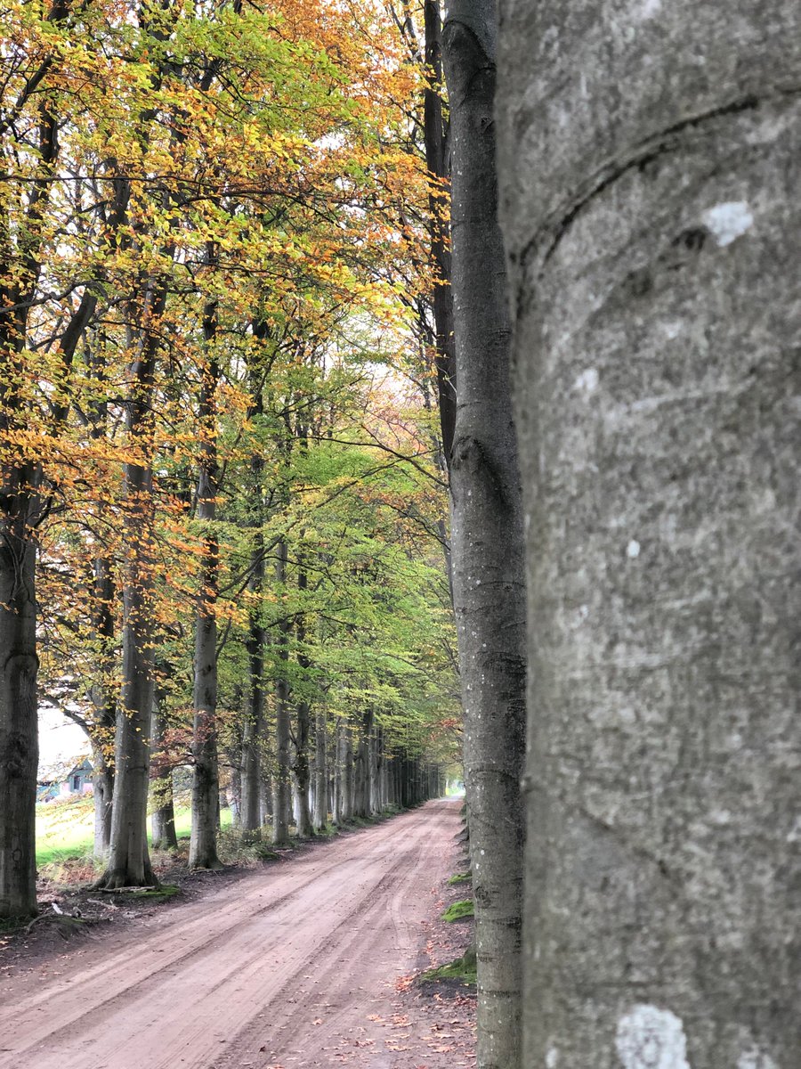 BertKrale's tweet photo. Onder de indruk van het mooie landschap tussen @gem_dalfsen en Heino @GemeenteRaalte tijdens een lekkere zondagmiddagwandeling #salland #visitoost #sportiefgenieten
https://t.co/JSmMUHvfuF https://t.co/AHtT2gAfZr
