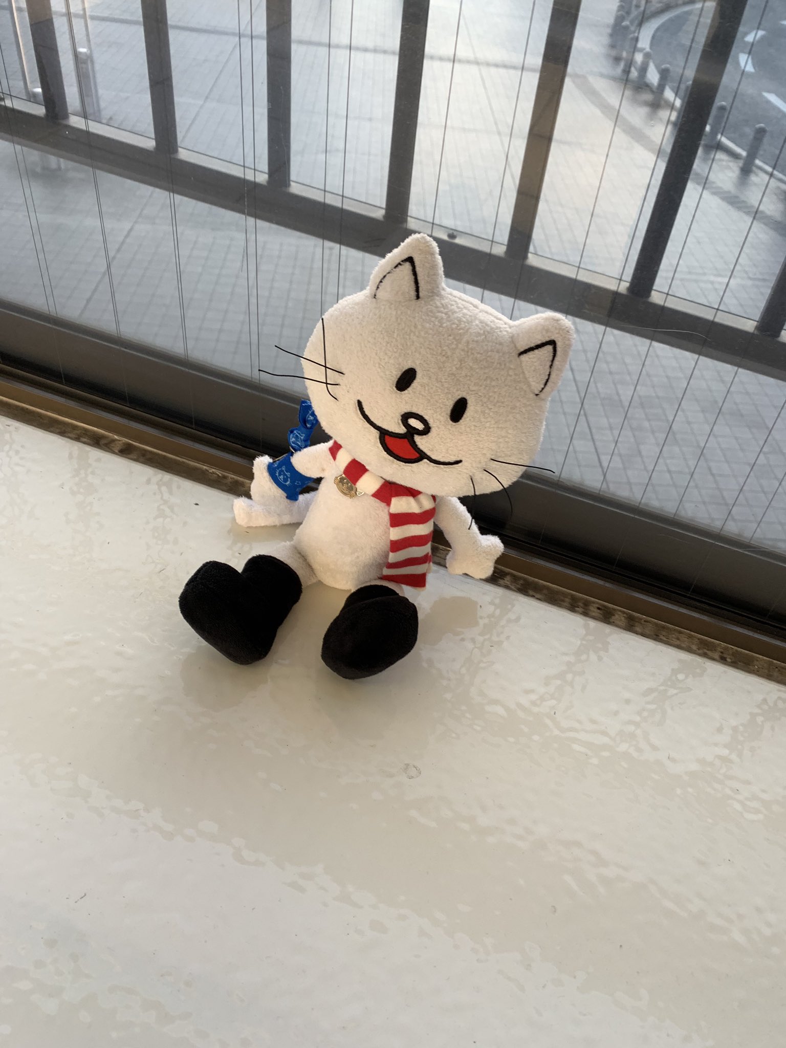 ごまたん 拡散希望 Bump Of Chickenのキャラクター ニコルのぬいぐるみが愛知県 三河安城駅の通路に落ちていました 急いでいたので床に落ちていたものを横の目立つ所に置いただけですが どうかご主人が見つかりますように 拡散希望 Bump Of
