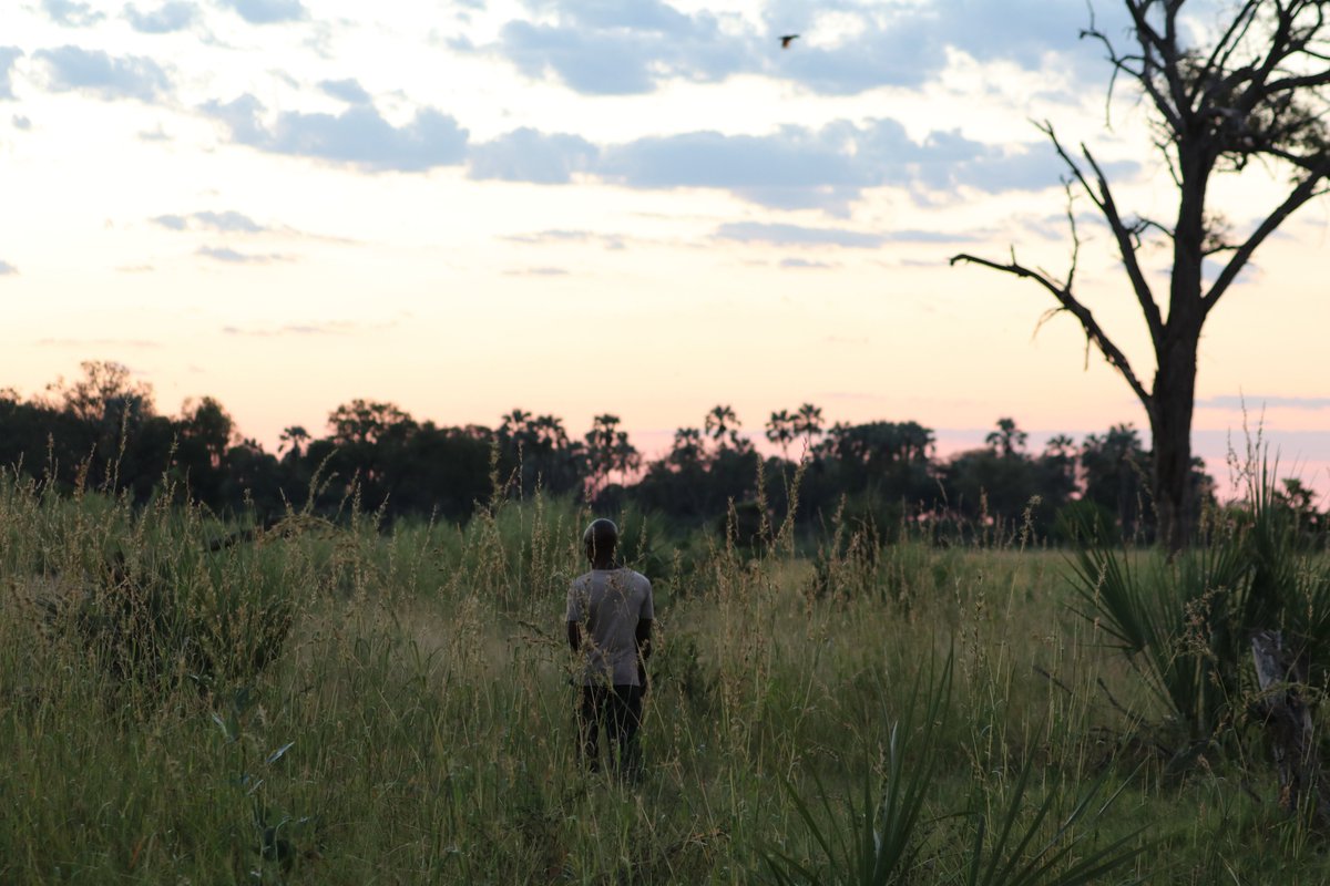 will_maize's tweet photo. Community-led Tourism in the Okavango Delta 

Some thoughts and experiences from an amazing few days in the Ditshuping area of the #OkavangoDelta, near Maun, Botswana. 

https://t.co/COt3q0KPam

#water #solarenergy #solar #OKMCT #15000km #Botswana #mokoro #hippo https://t.co/4xrQaobJHE