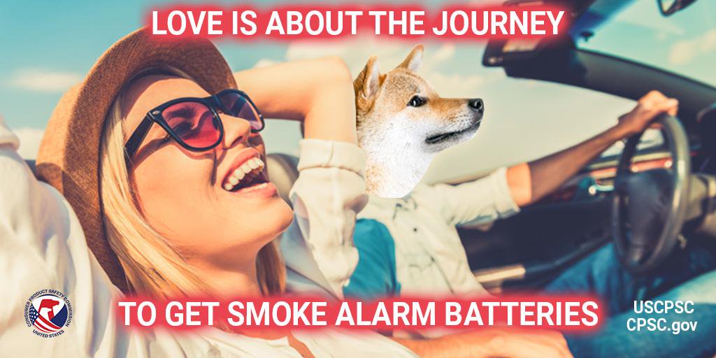 A dog named potato driving a car with a person in the passenger seat who is having the time of their life. The text reads: love is about the journey to get smoke alarm batteries