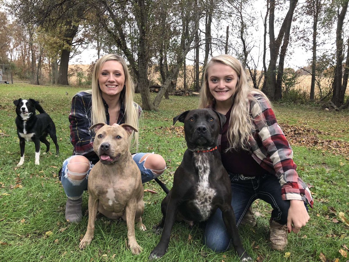 lov3me132's tweet photo. Mom on left son on right 💓🥰 #2blondes #2pits #pitbulllovers https://t.co/C0Aiq7D7GJ
