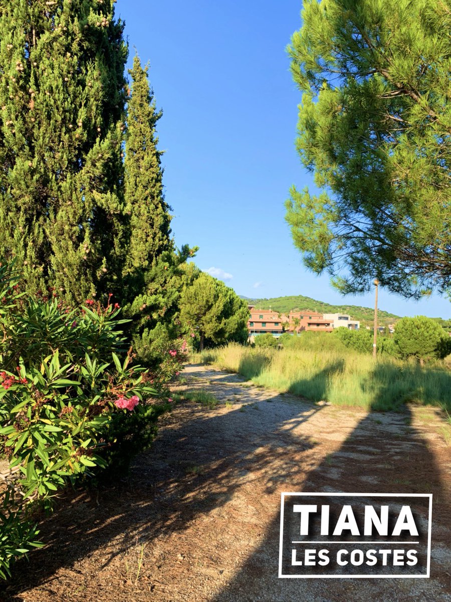 #CuidemTiana 🌵 tweet media
