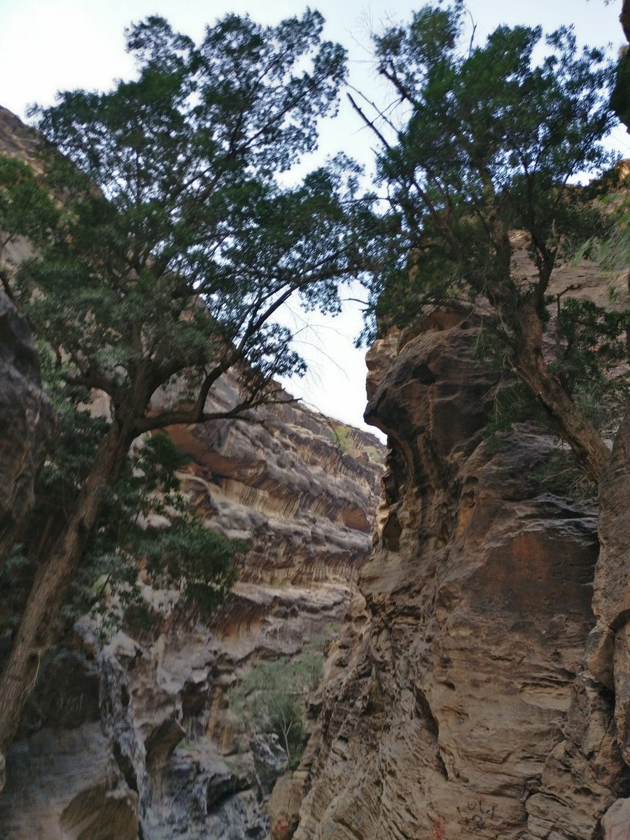 Pictures from our visit to Wadi Lajb last November.  #Jazan Province remains one of  #SaudiArabia's hidden jewels.Check out  @Sout_alrith's Instagram account for a glimpse https://instagram.com/sout_alrith  @JazanTourism  @SouthernSaudia #وادي_لجب  #الريث  #جازان