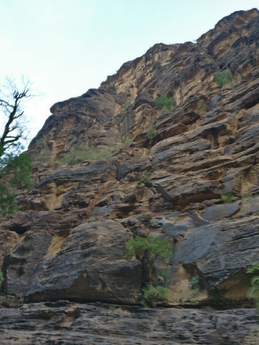 Pictures from our visit to Wadi Lajb last November.  #Jazan Province remains one of  #SaudiArabia's hidden jewels.Check out  @Sout_alrith's Instagram account for a glimpse https://instagram.com/sout_alrith  @JazanTourism  @SouthernSaudia #وادي_لجب  #الريث  #جازان