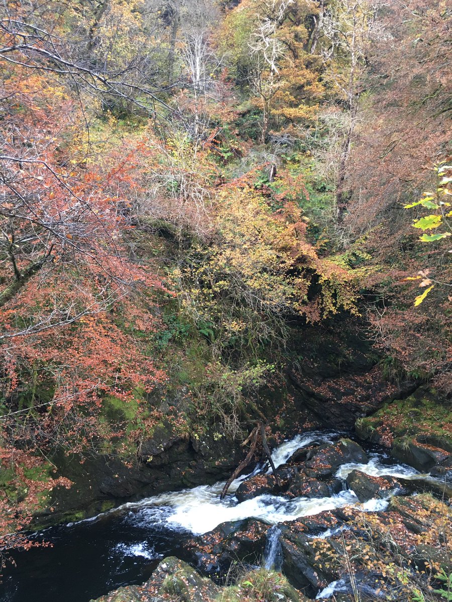 Gordon Watson (@lochlomondceo) on Twitter photo Awesome #Autumn colours in the heart of the <a href="/TheTrossachs/">Visit The Trossachs</a> today #GlenFinglas @WoodlandTrust <a href="/TheGTF/">GreatTrossachsForest</a> <a href="/lomondtrossachs/">Loch Lomond & The Trossachs</a> <a href="/SeeLochKatrine/">Steamship Sir Walter Scott</a> Awesome #Autumn colours in the heart of the <a href="/TheTrossachs/">Visit The Trossachs</a> today #GlenFinglas @WoodlandTrust <a href="/TheGTF/">GreatTrossachsForest</a> <a href="/lomondtrossachs/">Loch Lomond & The Trossachs</a> <a href="/SeeLochKatrine/">Steamship Sir Walter Scott</a>