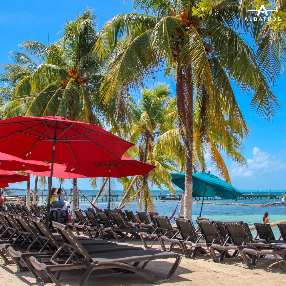 TourAlbatros's tweet photo. Let the countdown to beach time begin! Relax with style in our beautiful #BeachClub. https://t.co/IWdNXozukC