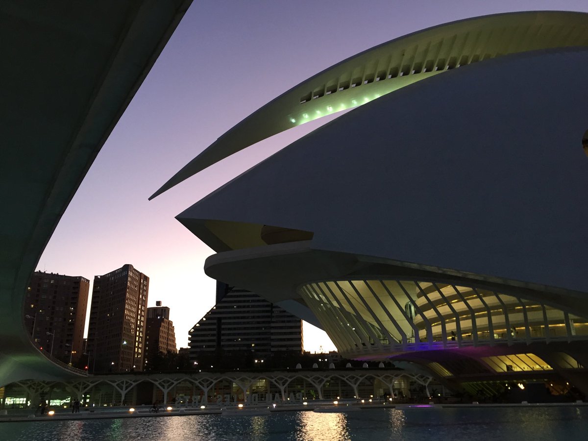 KirsimarjaB's tweet photo. Ciudad de las sciencias & artes. #Valencia #TIPC2019 https://t.co/DoC57UB844