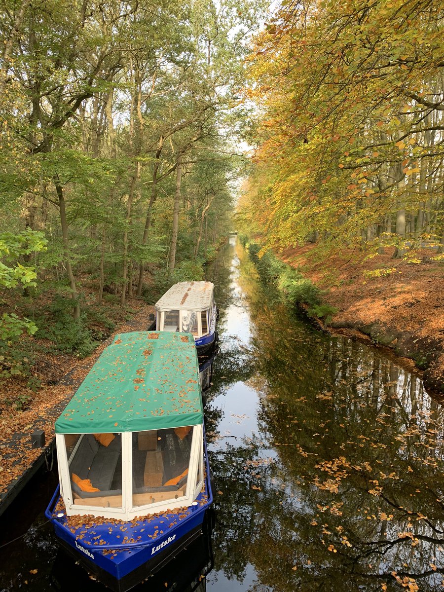 hettystelli's tweet photo. #intothewoods #autumnvibes https://t.co/Dz1ZK6U2Nm