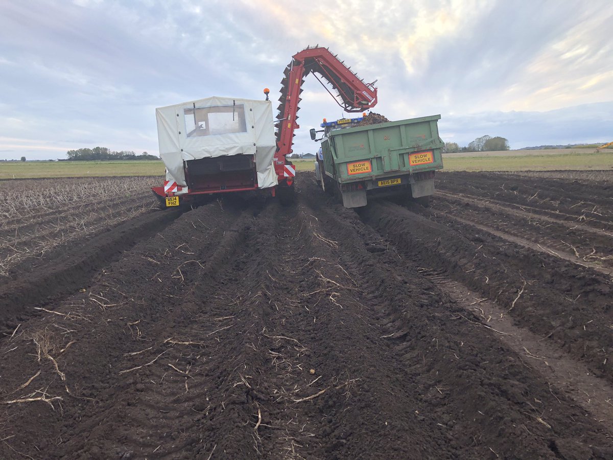 ajfarming's tweet image. Give us a break 🙏🤞