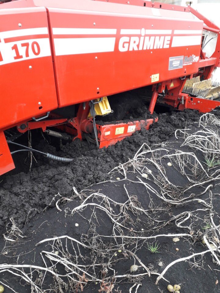 ajfarming's tweet image. Give us a break 🙏🤞