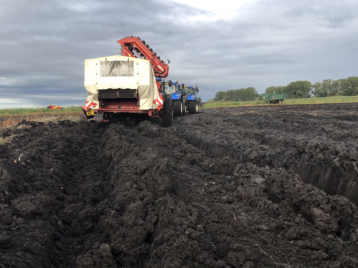 ajfarming's tweet image. Give us a break 🙏🤞