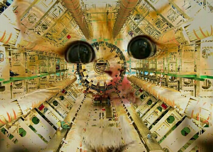 CERNcat's tweet image. #CERNcat #CERNcats #cern #catsofcern #purrforcern #quantumphysics #cats #kittens #catsofinstagram #catsoftwitter #kittensofinstagram #gatosdecern #catstagram #instacat #instakitten #Gatos  #catsoftheworld #gatosdelmundo #purr