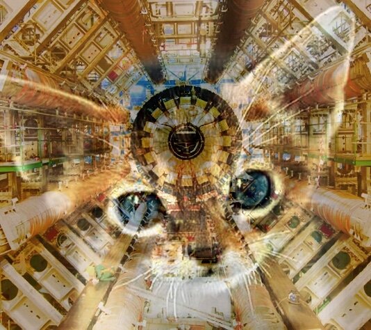 CERNcat's tweet image. #CERNcat #CERNcats #cern #catsofcern #purrforcern #quantumphysics #cats #kittens #catsofinstagram #catsoftwitter #kittensofinstagram #gatosdecern #catstagram #instacat #instakitten #Gatos  #catsoftheworld #gatosdelmundo #purr
