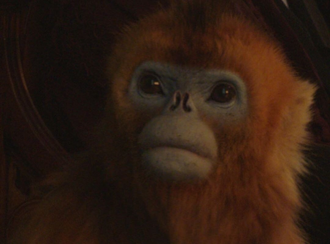 𓅪 Dr Alex Evans 𓅪 tweet media