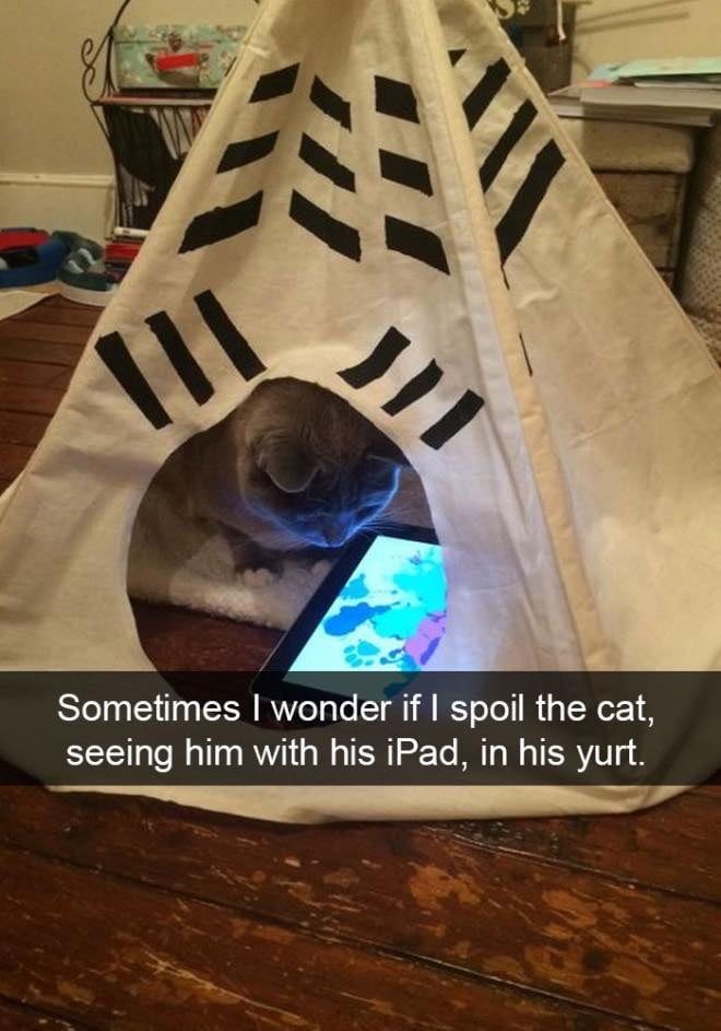 TXKAnimal's tweet photo. What do you think!?! 😁 https://t.co/9YA1TgowZO