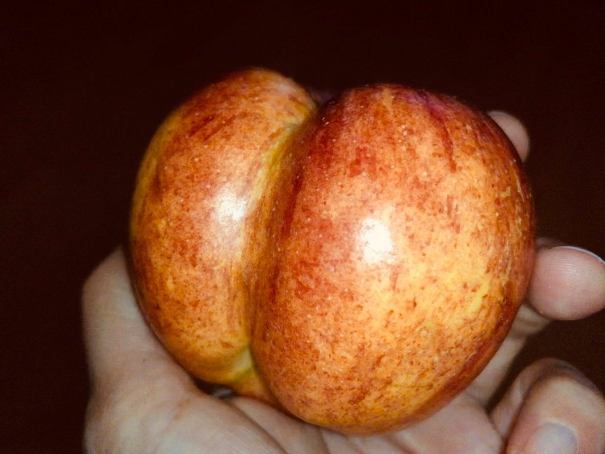 The Artist Formerly Unknown As Lavenderpoodle On Twitter Mein Apfel Ist Ein Arsch Irgendwie Fruchte Fruit Cleaneating