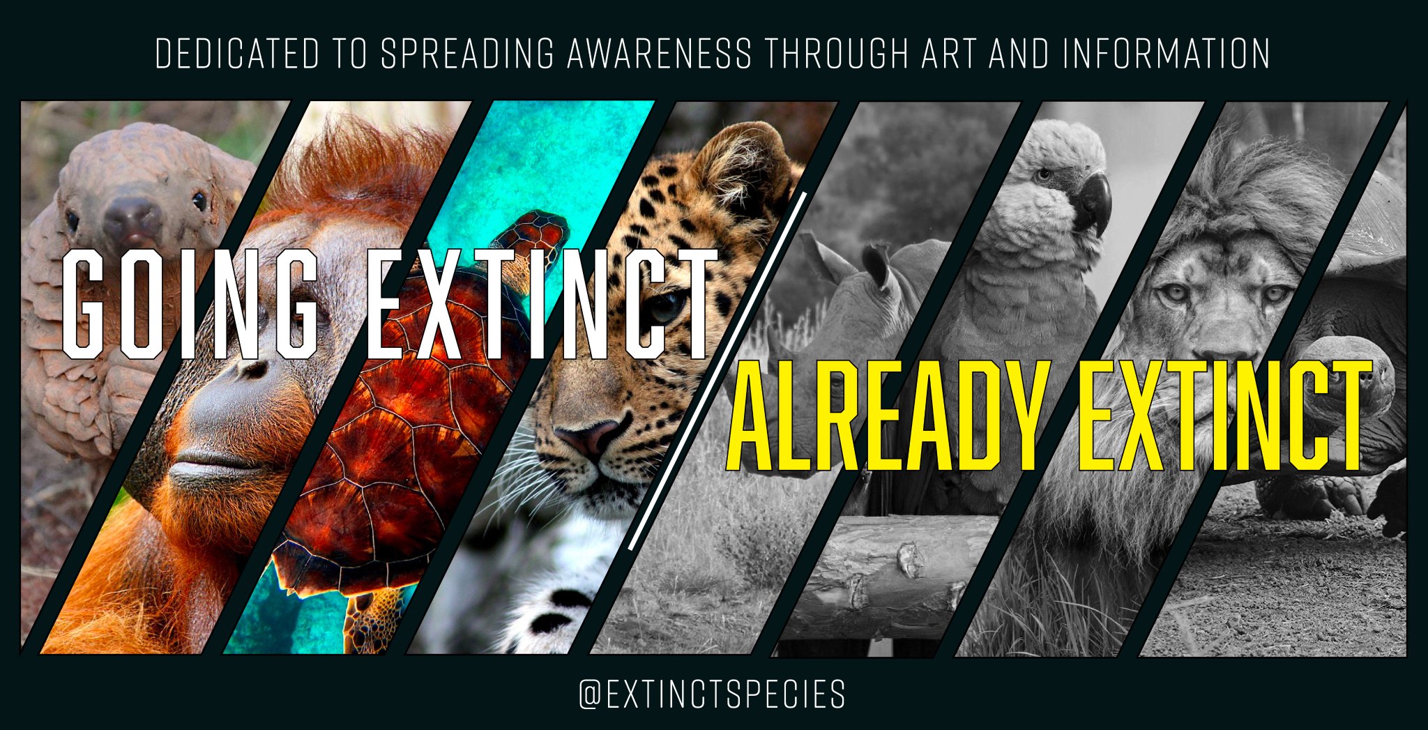 Extinct Species On Twitter I Ll Be Combining My Art And My Love Of Animals To Hopefully Spread Extinct Species On Twitter I Ll Be Combining My Art And My Love Of Animals To Hopefully Spread
