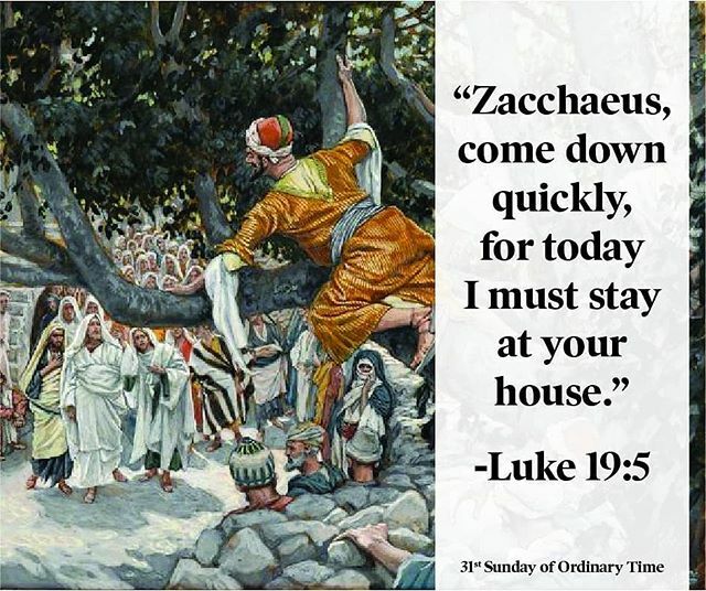 stcatym's tweet photo. Jesus is calling everyone in a similar way. Get out of your tree and rush to Him - He wants to dwell in the home of your heart https://t.co/38Lu3DQN87 https://t.co/XCFWRz8WjG