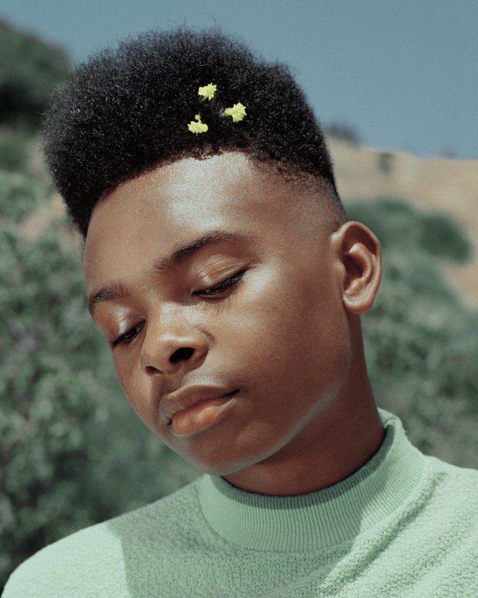 archillect's tweet image. 