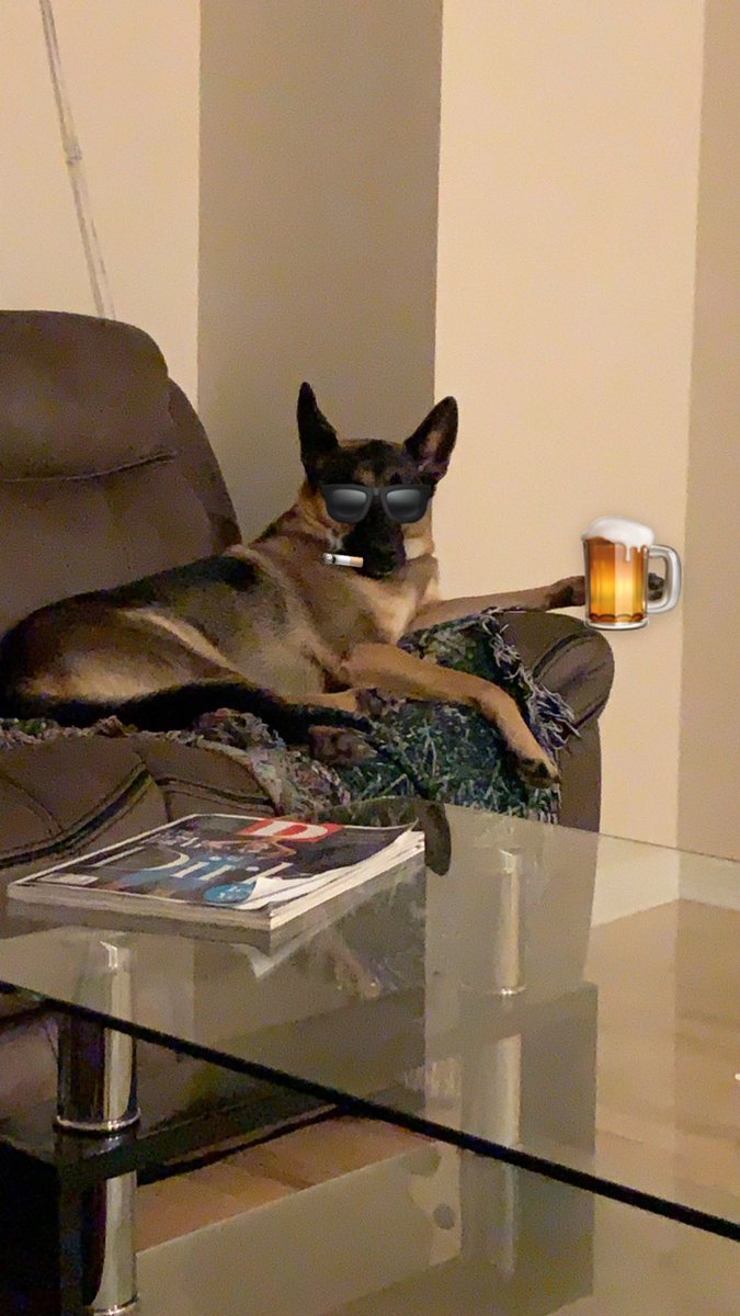 ajswords's tweet photo. Atlas isn’t impressed with the @Patriots tonight https://t.co/ntI99y226D